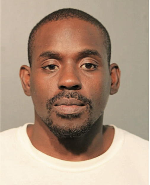 CHRISTOPHER C NELSON, Cook County, Illinois