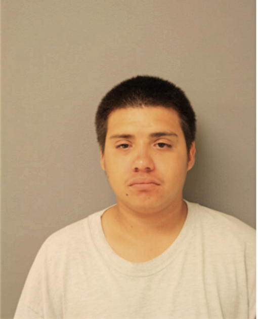 AGUSTIN ORTIZ, Cook County, Illinois