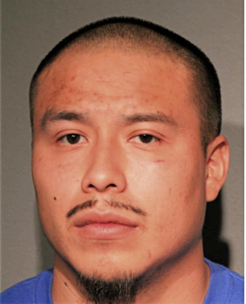 DAVID PINA, Cook County, Illinois