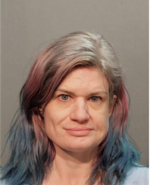 VALERIE PERRY RENDEL, Cook County, Illinois