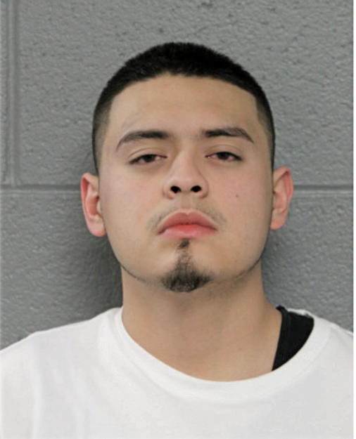 JOHN C RODRIGUEZ-DELGADO, Cook County, Illinois