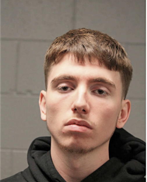DARYL B SULLIVAN, Cook County, Illinois