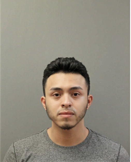 VICTOR D ARROYO, Cook County, Illinois