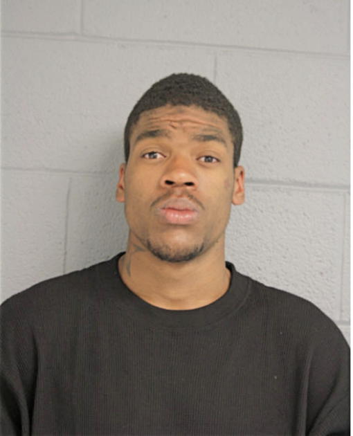 NICHOLAS A BROWN, Cook County, Illinois