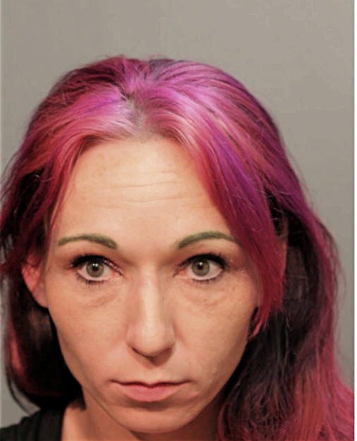SARAH L CALLAHAN, Cook County, Illinois