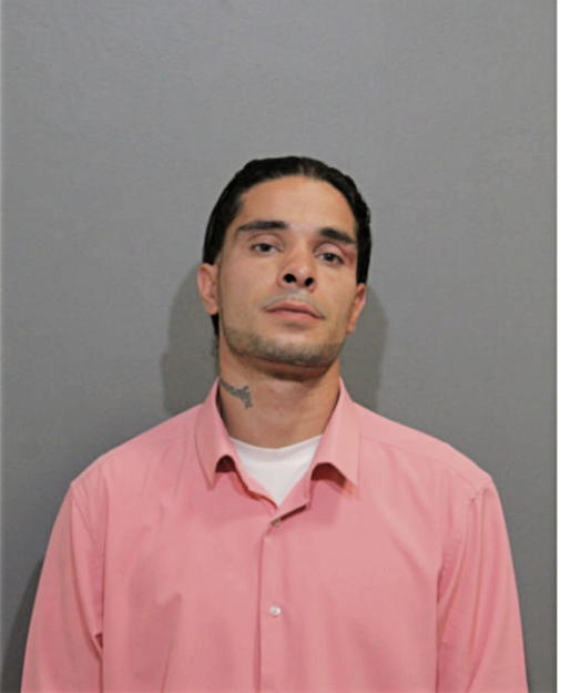 ROY G CORTEZ, Cook County, Illinois