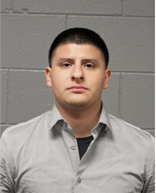 ANDRES DELFIN, Cook County, Illinois