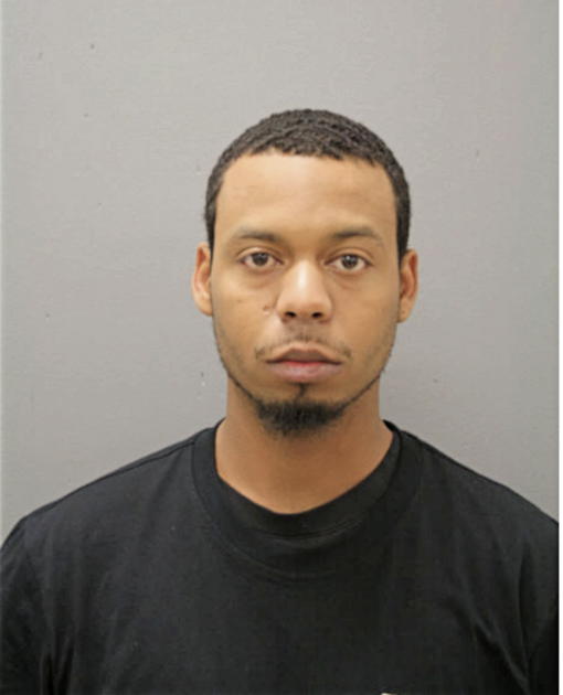 JAMES L DENHAM, Cook County, Illinois