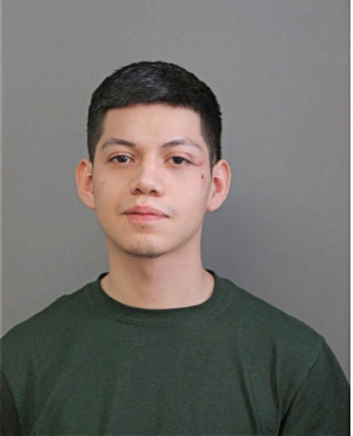 ALEXIS FERNANDEZ, Cook County, Illinois