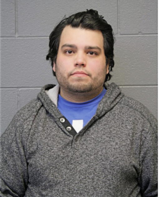 MICHAEL A GARCIA, Cook County, Illinois