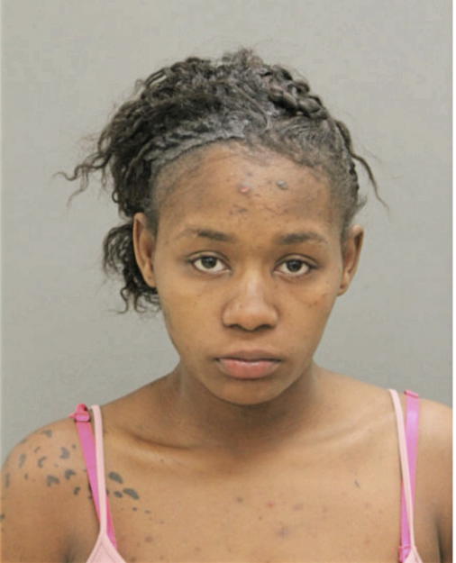 BRIANA J GREER, Cook County, Illinois