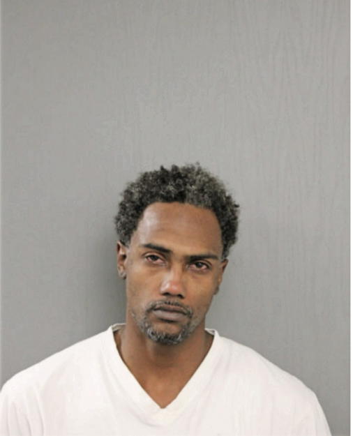 ELZIE W JOHNSON, Cook County, Illinois