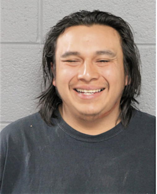 DAVID A LORENZO, Cook County, Illinois