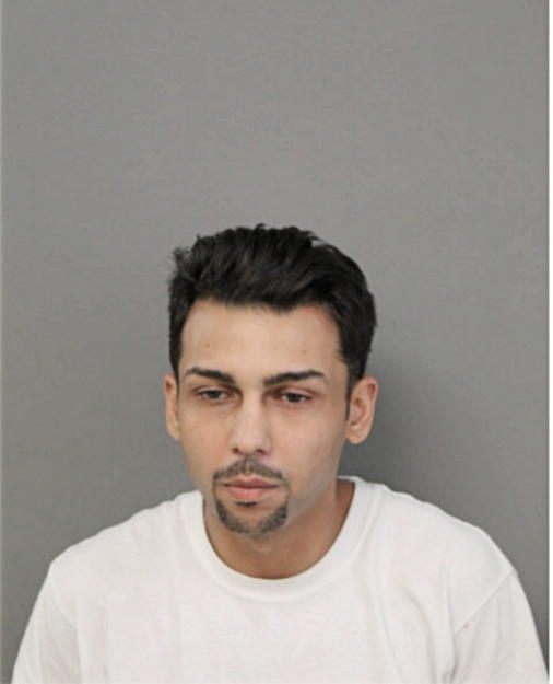 VINNIE E M NICHOLAS, Cook County, Illinois