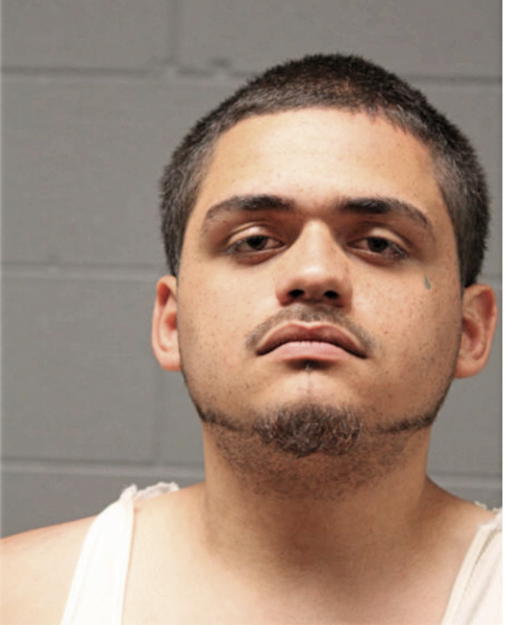 CARLOS G MONTANEZ, Cook County, Illinois