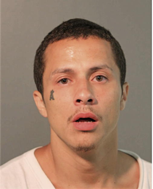DAVID R RAMOS, Cook County, Illinois