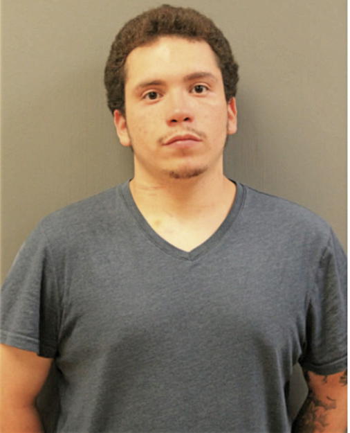 DAVID LUIS ROMAN, Cook County, Illinois