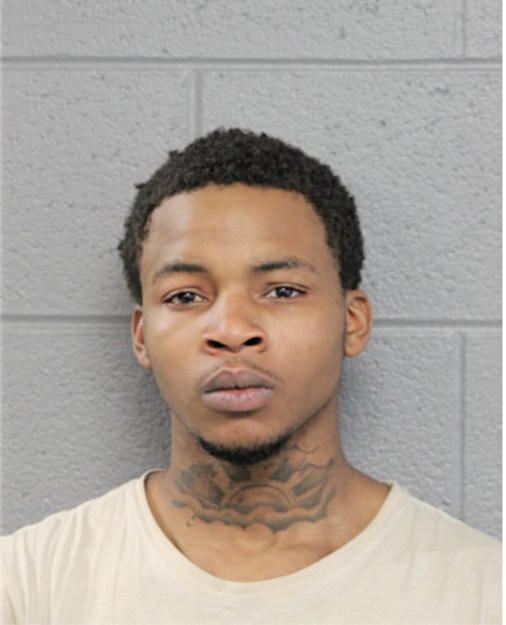 ERIK SPANN, Cook County, Illinois