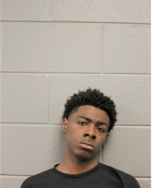 ADRIAN A STEEL, Cook County, Illinois
