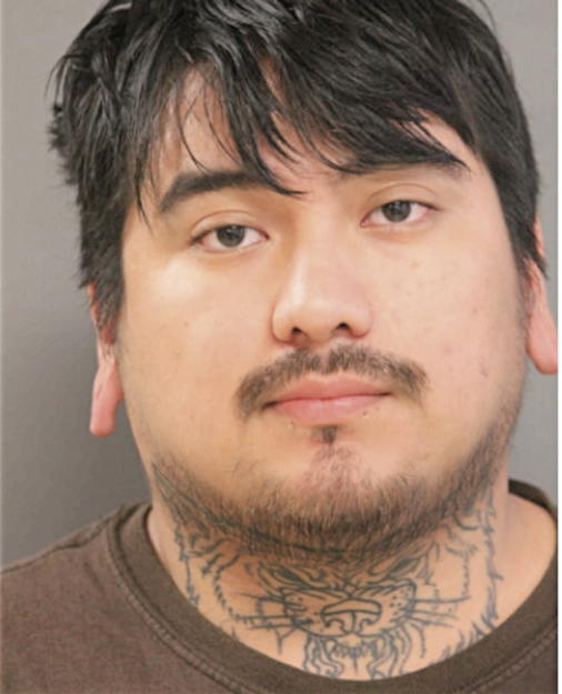 NOEL TELLEZ, Cook County, Illinois