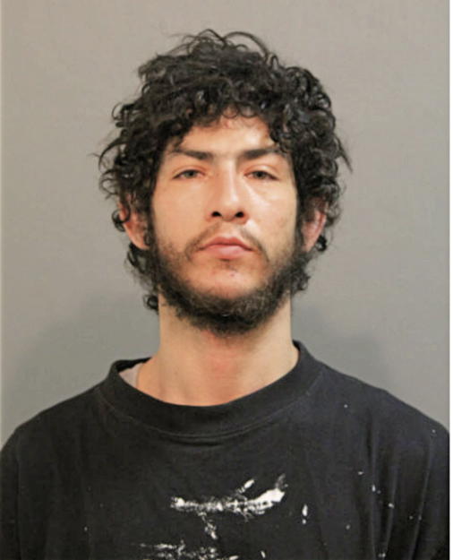 BRANDON D URBINA, Cook County, Illinois
