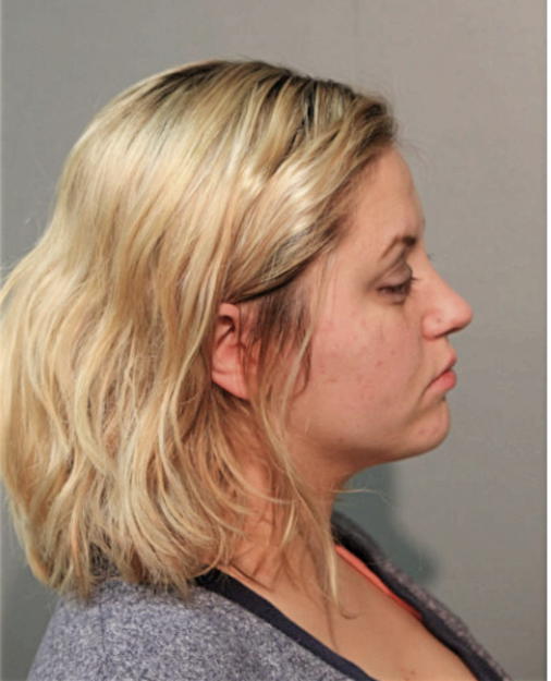 DENHAM EKATERINA, Cook County, Illinois
