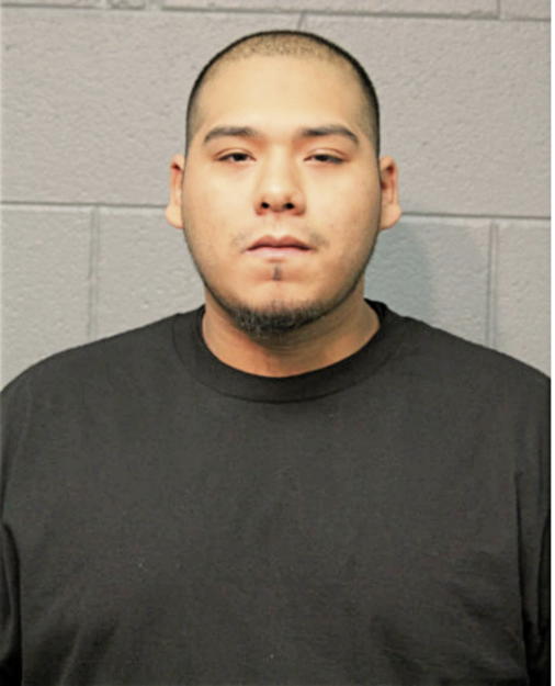 VICTOR M FONSECA, Cook County, Illinois