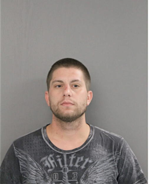 DANIEL P LOMMA, Cook County, Illinois