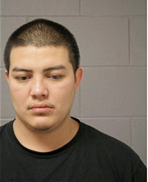 VICTOR A LOPEZ-ALVAREZ, Cook County, Illinois