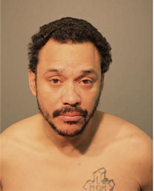 PEDRO L MELENDEZ, Cook County, Illinois