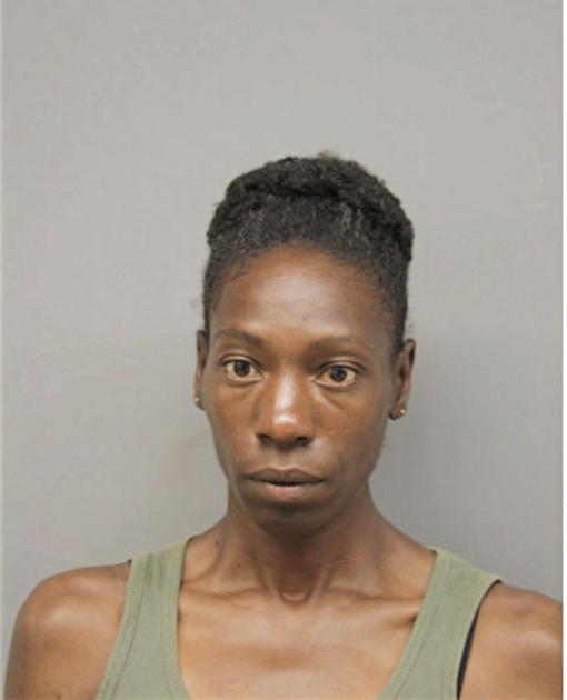 PAULA A NIXON, Cook County, Illinois