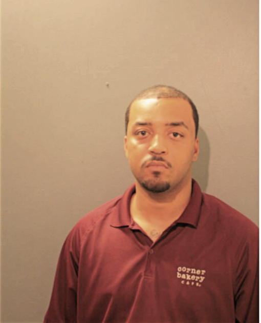 LOUIS E NORTON, Cook County, Illinois