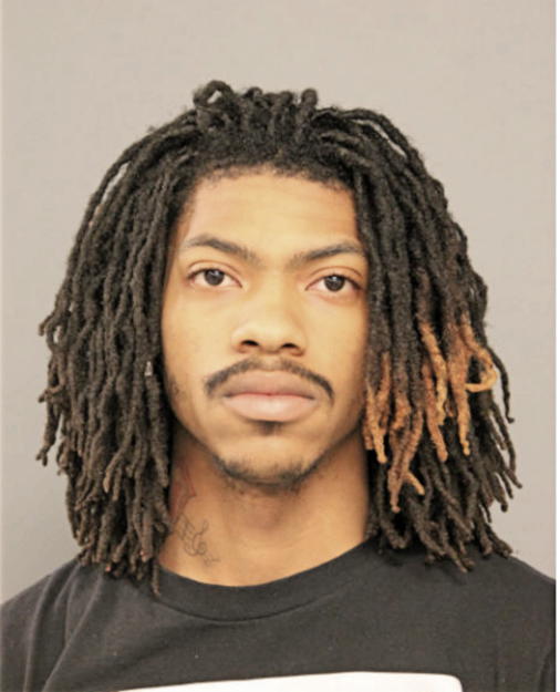 MANASSEH J POWELL, Cook County, Illinois