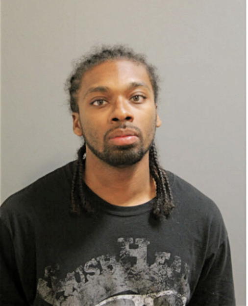 DAMIEN V ROBINSON, Cook County, Illinois