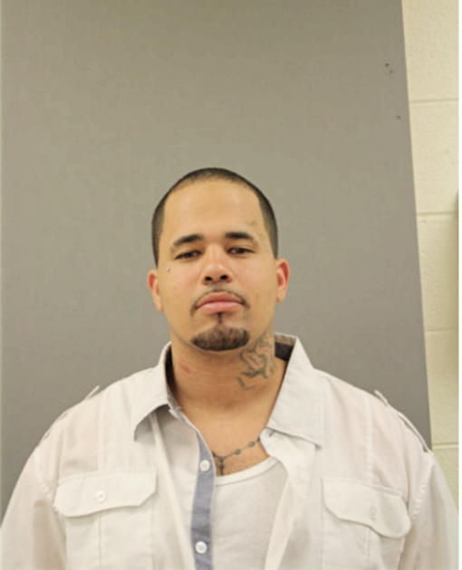 ROBERT L ROSENAU, Cook County, Illinois