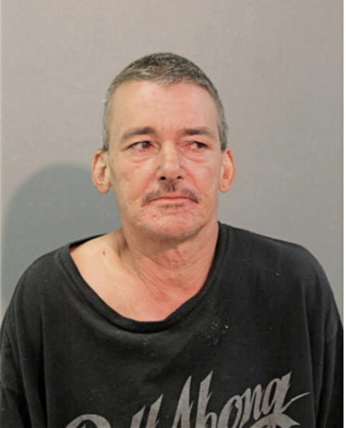 FERNANDO L SERRANO, Cook County, Illinois