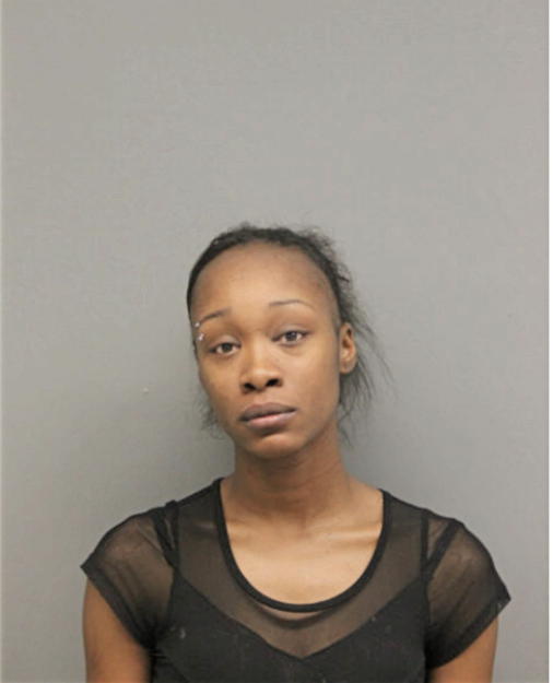 KARISSA T SMITH, Cook County, Illinois