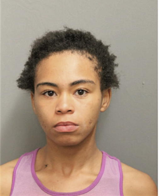LYNDA A TRIMUEL, Cook County, Illinois