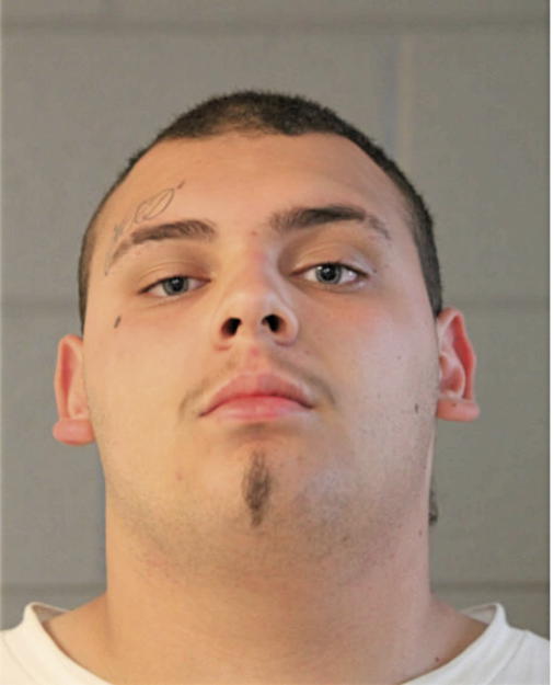 GINO ZEPEDA, Cook County, Illinois