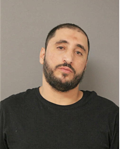 NOORALDEEN F ALSABBAGH, Cook County, Illinois