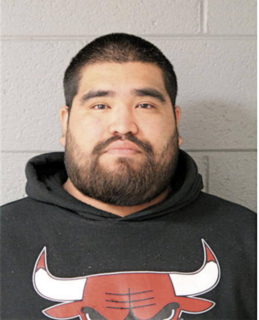 VICTOR M CAMARGO, Cook County, Illinois