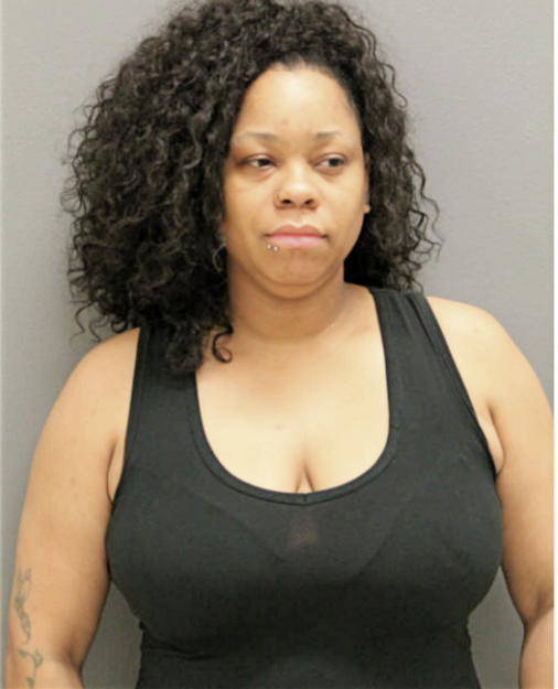 MICHELE N CLARK, Cook County, Illinois