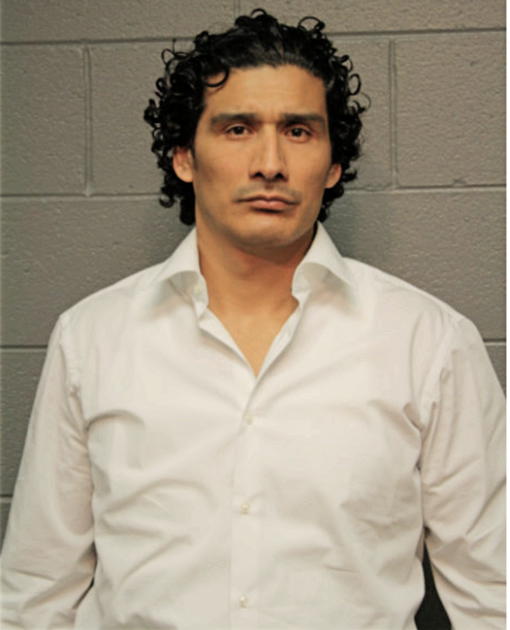 PEDRO L FORTIS, Cook County, Illinois