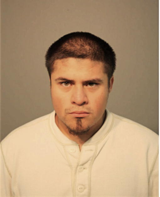 JONATHAN GUZMAN, Cook County, Illinois