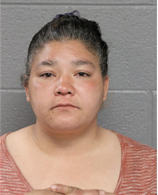 VALERIE A JARVIS, Cook County, Illinois