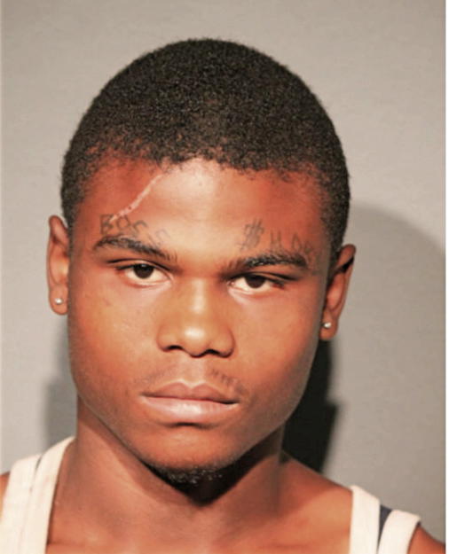 LEVELL D JOHNSON, Cook County, Illinois