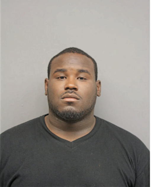 ROBERT M JOHNSON, Cook County, Illinois
