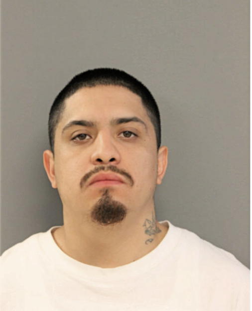 DAVID LOPEZ, Cook County, Illinois