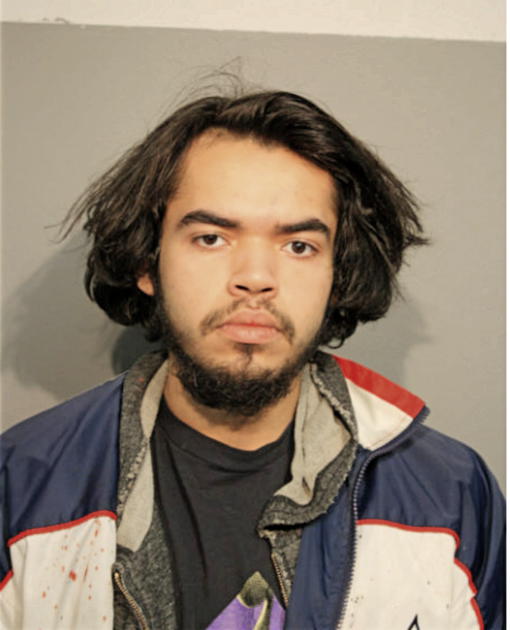 CHRISANTHONY R MAYORGA, Cook County, Illinois