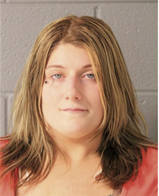 LEA E MCMAHAN, Cook County, Illinois